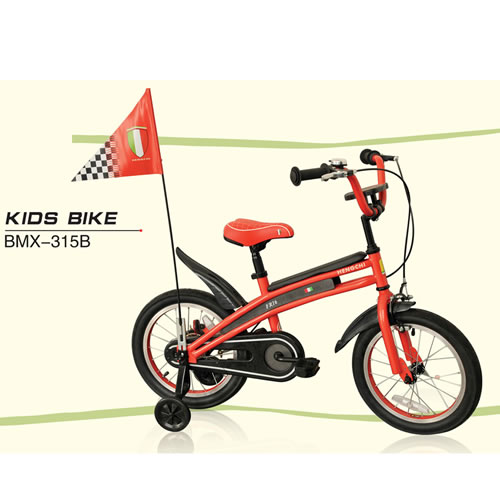 KIDS  BIKE   BMX -315B
